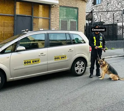 Securevolt Services Operation Capture 11